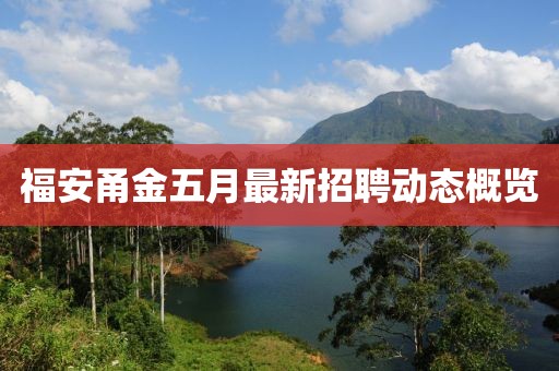 福安甬金五月最新招聘动态概览