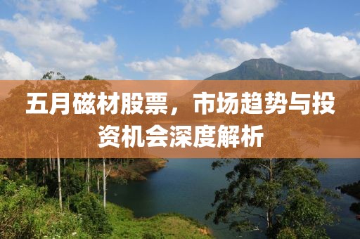 五月磁材股票，市场趋势与投资机会深度解析