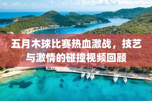 五月木球比赛热血激战，技艺与激情的碰撞视频回顾