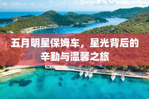 五月明星保姆车，星光背后的辛勤与温馨之旅