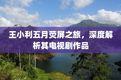 王小利五月荧屏之旅，深度解析其电视剧作品