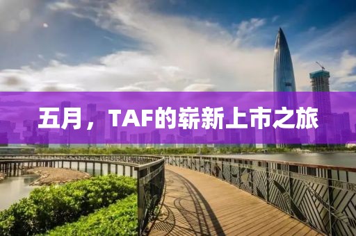 五月，TAF的崭新上市之旅