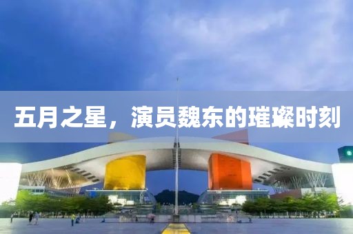 五月之星，演员魏东的璀璨时刻