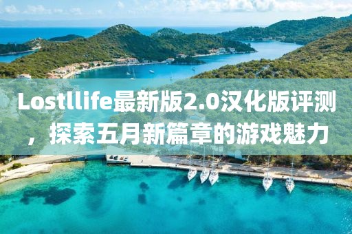 Lostllife最新版2.0汉化版评测，探索五月新篇章的游戏魅力