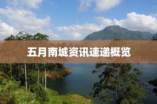 五月南城资讯速递概览