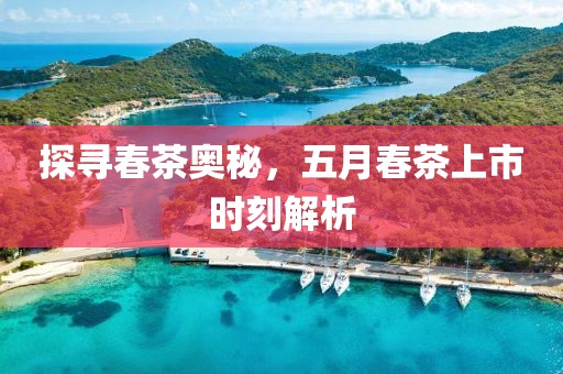 探寻春茶奥秘，五月春茶上市时刻解析