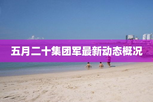 五月二十集团军最新动态概况