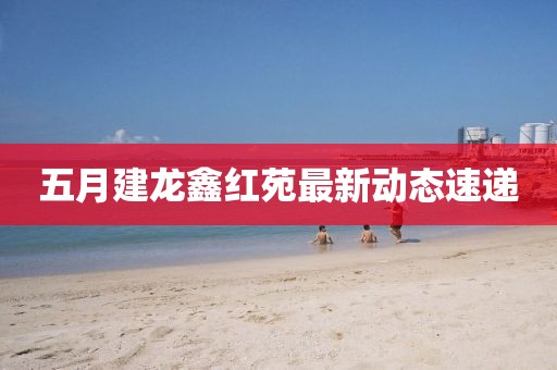 五月建龙鑫红苑最新动态速递
