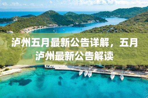 泸州五月最新公告详解，五月泸州最新公告解读
