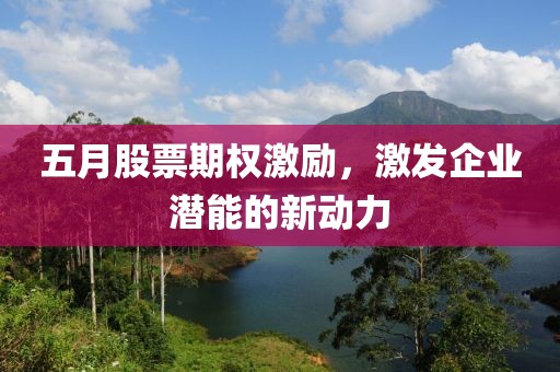 五月股票期权激励，激发企业潜能的新动力