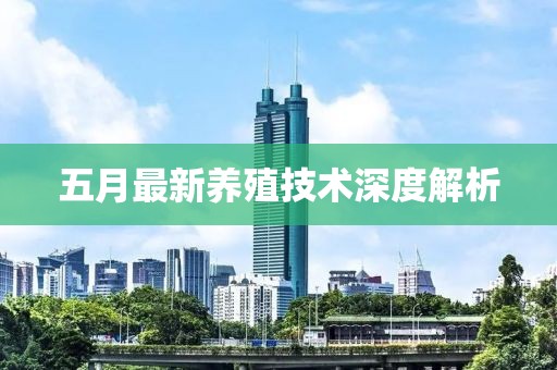 五月最新养殖技术深度解析
