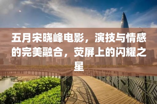五月宋晓峰电影，演技与情感的完美融合，荧屏上的闪耀之星
