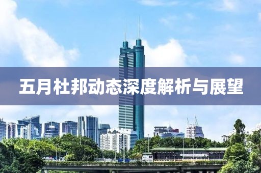 五月杜邦动态深度解析与展望