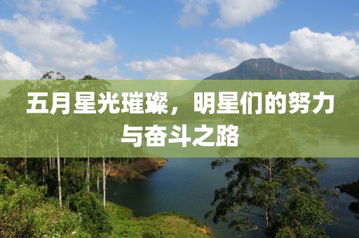 五月星光璀璨，明星们的努力与奋斗之路