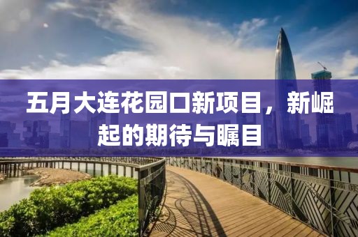 五月大连花园口新项目，新崛起的期待与瞩目