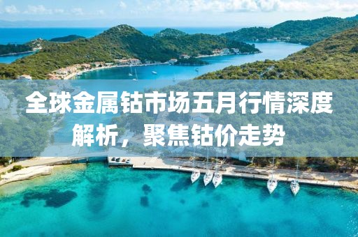 全球金属钴市场五月行情深度解析，聚焦钴价走势