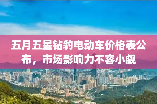 五月五星钻豹电动车价格表公布，市场影响力不容小觑