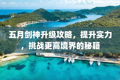 五月剑神升级攻略，提升实力，挑战更高境界的秘籍