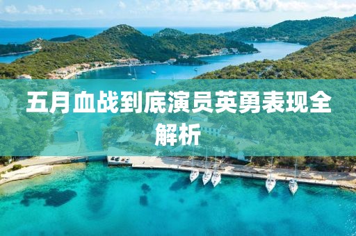 五月血战到底演员英勇表现全解析