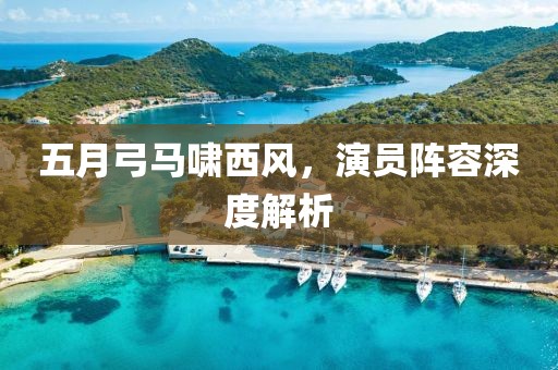五月弓马啸西风，演员阵容深度解析