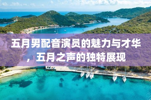 五月男配音演员的魅力与才华，五月之声的独特展现