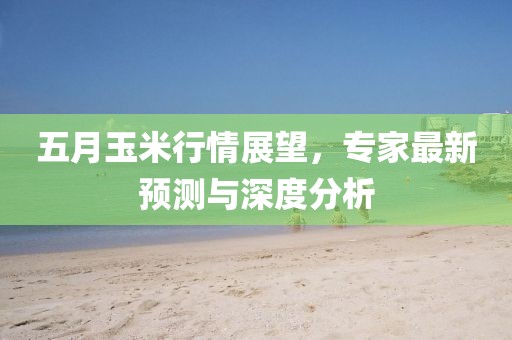 五月玉米行情展望，专家最新预测与深度分析