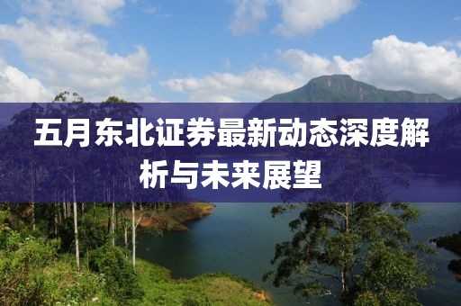 五月东北证券最新动态深度解析与未来展望