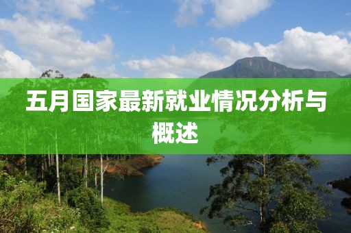 五月国家最新就业情况分析与概述