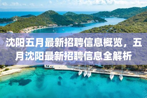 沈阳五月最新招聘信息概览，五月沈阳最新招聘信息全解析