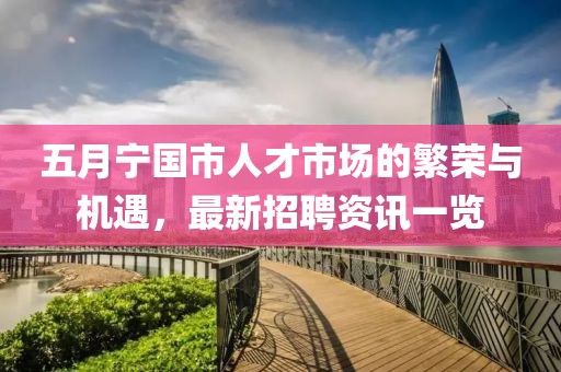 五月宁国市人才市场的繁荣与机遇，最新招聘资讯一览
