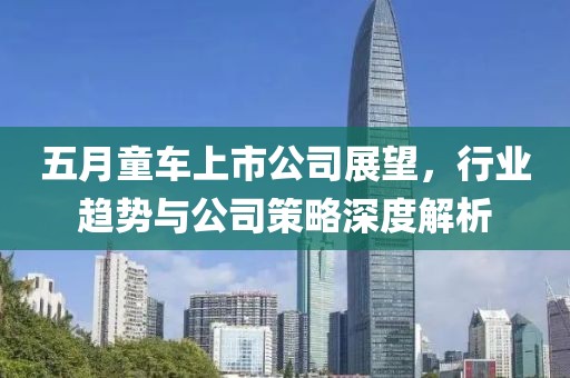 五月童车上市公司展望，行业趋势与公司策略深度解析