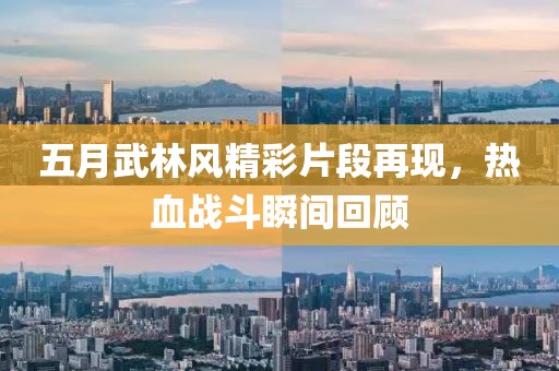 五月武林风精彩片段再现，热血战斗瞬间回顾