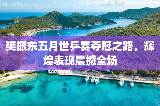 樊振东五月世乒赛夺冠之路，辉煌表现震撼全场