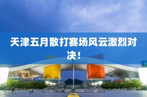 天津五月散打赛场风云激烈对决！