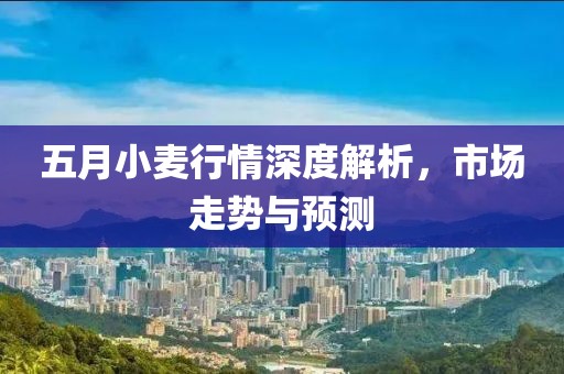 五月小麦行情深度解析，市场走势与预测