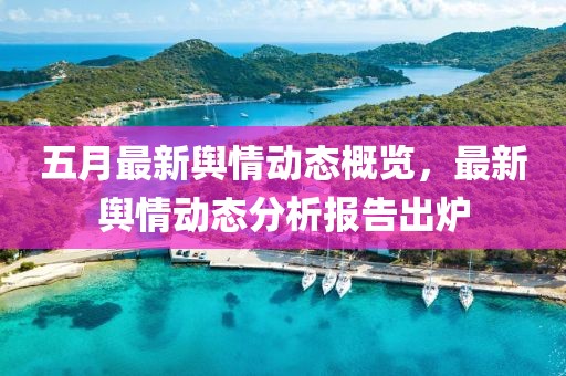 五月最新舆情动态概览，最新舆情动态分析报告出炉