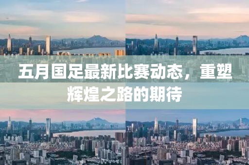 五月国足最新比赛动态，重塑辉煌之路的期待