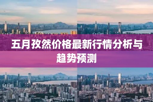 五月孜然价格最新行情分析与趋势预测