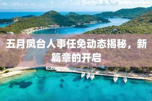 五月凤台人事任免动态揭秘，新篇章的开启