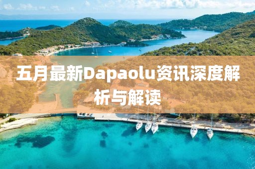 五月最新Dapaolu资讯深度解析与解读