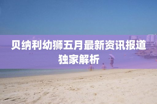 贝纳利幼狮五月最新资讯报道独家解析
