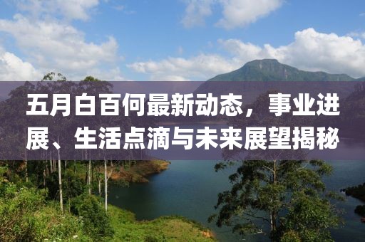 五月白百何最新动态，事业进展、生活点滴与未来展望揭秘