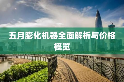 五月膨化机器全面解析与价格概览