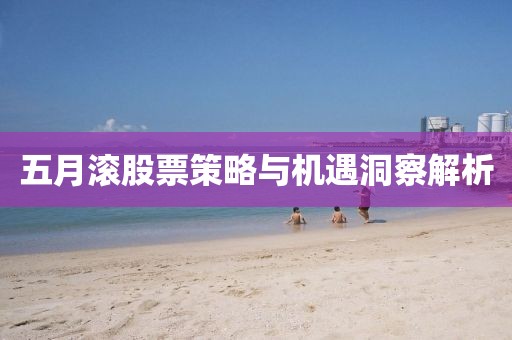 五月滚股票策略与机遇洞察解析