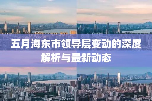 五月海东市领导层变动的深度解析与最新动态