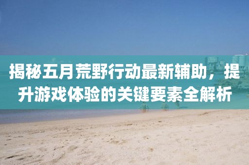 揭秘五月荒野行动最新辅助，提升游戏体验的关键要素全解析