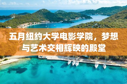 五月纽约大学电影学院，梦想与艺术交相辉映的殿堂