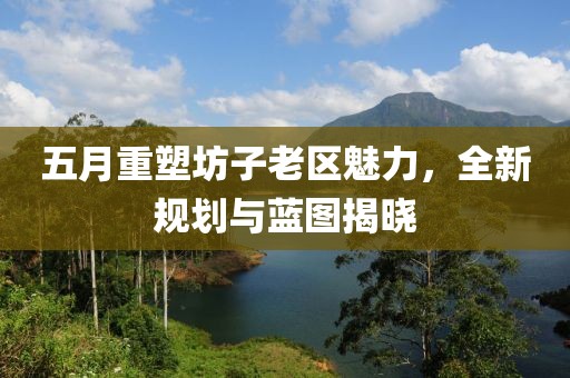 五月重塑坊子老区魅力，全新规划与蓝图揭晓