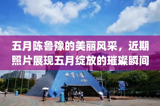 五月陈鲁豫的美丽风采，近期照片展现五月绽放的璀璨瞬间