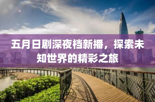五月日剧深夜档新播，探索未知世界的精彩之旅